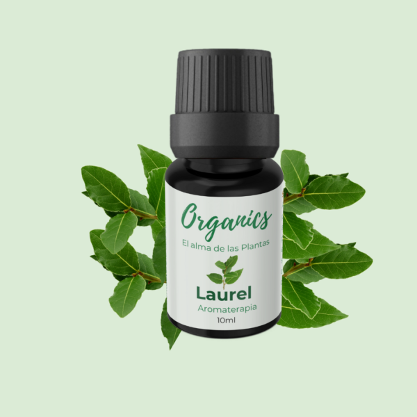 Aromaterapia Laurel