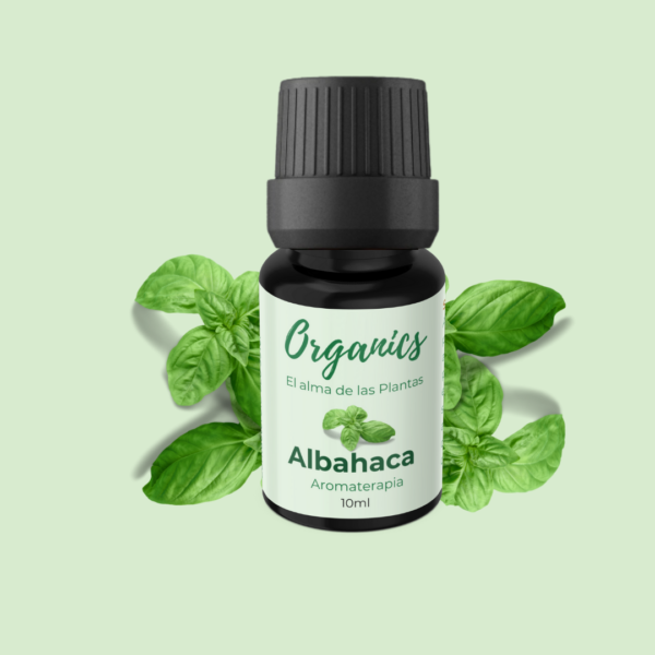 Aromaterapia Albahaca