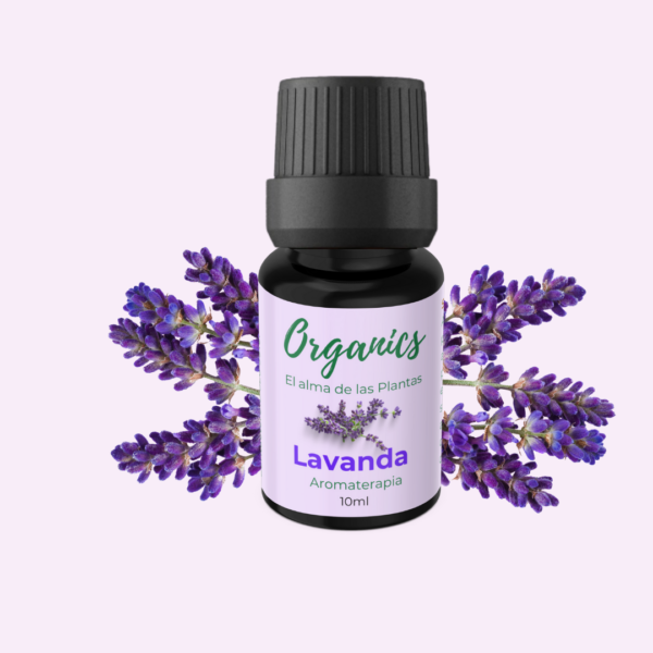 Aromaterapia Lavanda